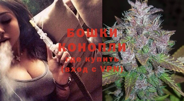 прущие крисы Новозыбков