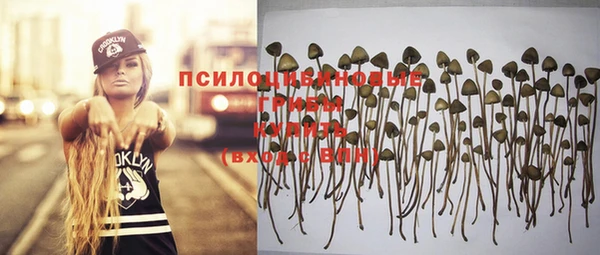 прущие крисы Новозыбков