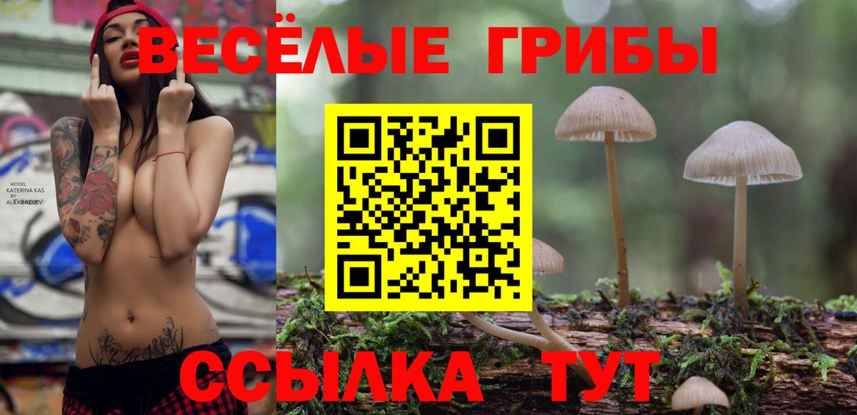 Псилоцибиновые грибы мухоморы  Галлюциногенные грибы Psilocybine cubensis  Вход с VPN  как найти закладки  Боровичи 