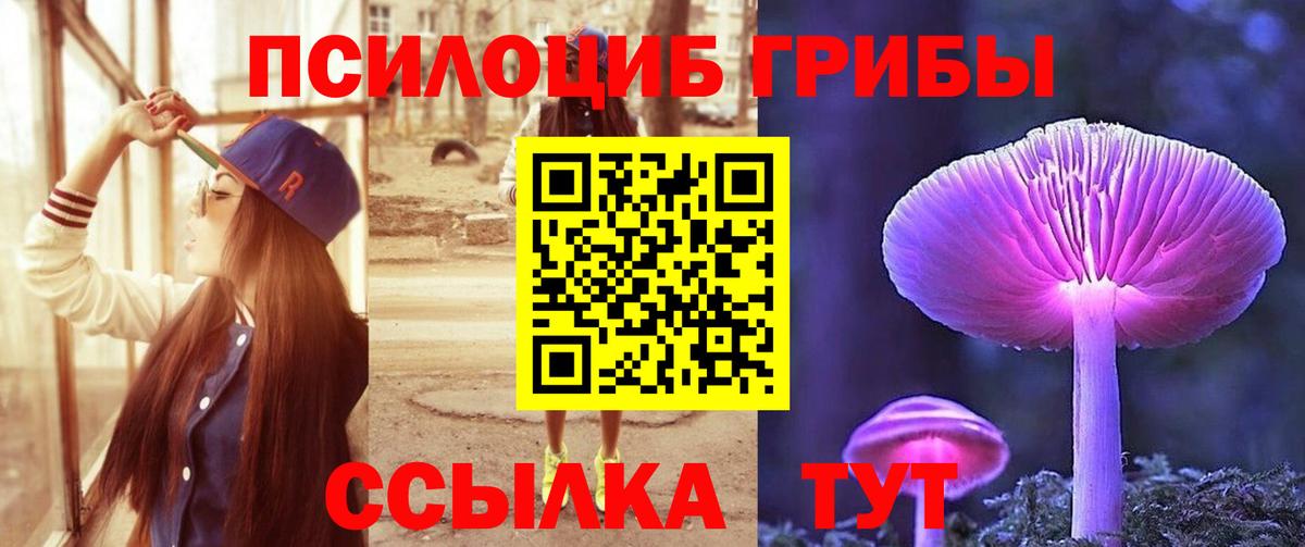 Псилоцибиновые грибы GOLDEN TEACHER Боровичи