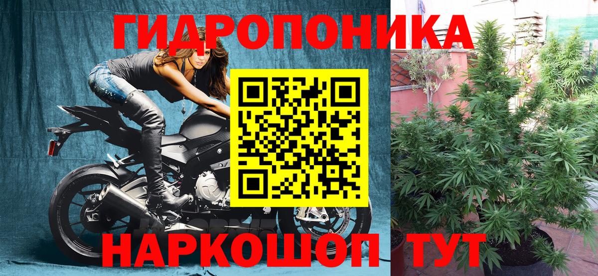Каннабис семена Боровичи